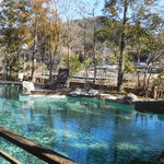 嵯峨沢館 - 池を囲むデッキチェア