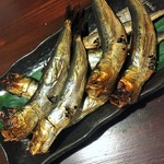 日本酒仙 喜心 - 「めざし」