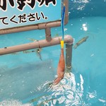 いえいっ！　イカGET！