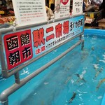 函館朝市 駅二市場 活いか釣り広場 - たくさん泳いでるので簡単に釣れますね～