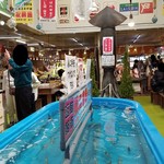 函館朝市 駅二市場 活いか釣り広場 - 「函館朝市 駅二市場 活いか釣り広場」の様子です