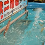 函館朝市 駅二市場 活いか釣り広場 - 釣り上げるとイカは水をはき、周りは大騒ぎに（笑）