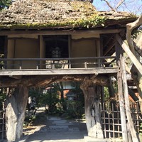 山ばな平八茶屋 - 