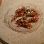 レヴォ - 蛍烏賊