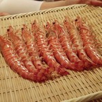 東麻布 天本 - 天然車海老