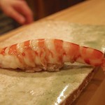 東麻布 天本 - 天然車海老