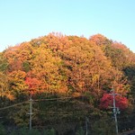 河内長野荘 - 紅葉が綺麗でした♪