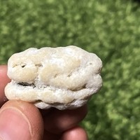 賛否両論 - 