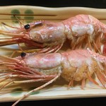 よい処うさぎ - 