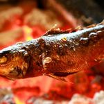 炙る チェリチェリ