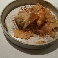 ロドラント ミノルナキジン - 