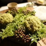 イレテテュヌフワ - 2017.03 ふきのとうのケーキ：これでもかというふわふわ、春の香り