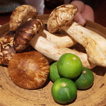 よろにく - 松茸！