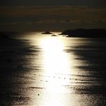 珈琲神社 - 志津川湾