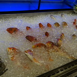33區熱炒生猛海鮮 - 超新鮮な魚が並びます