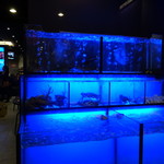 33區熱炒生猛海鮮 - 水槽ではカニエビが泳いでいます