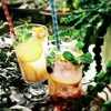 コンシールカフェ ミヤマスザカ