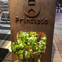 プリンチピオ - 