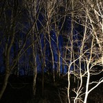 アンシェントホテル - 