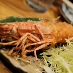 かねます - 17/3月　特大天然車海老フライ