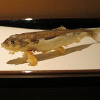 カブ 西麻布 - 若鮎 山形