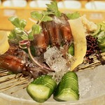 富山ホタルイカ