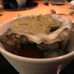 テラ・アウストラリス - 