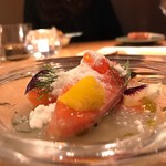 テラ・アウストラリス - 