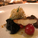 テラ・アウストラリス - 