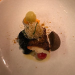 テラ・アウストラリス - 