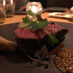 テラ・アウストラリス - 