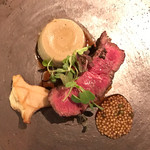 テラ・アウストラリス - 