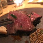 テラ・アウストラリス - 