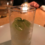 テラ・アウストラリス - 