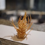 天ぷら　酒菜　醍醐 - 