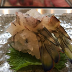 Sushi Zen Shima Tatsu - 