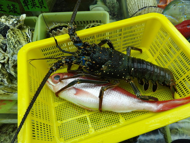 シマイセエビとアカマチ By くいしんぼうなともさん 移転 ツバメ食堂 牧志 沖縄料理 食べログ