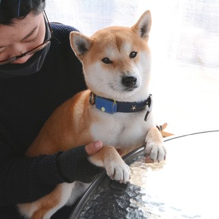 ★テラス席はワンちゃんとの一緒に楽しめます♪