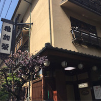 稚加榮 本店 - 