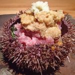 鈴しろ - 蝦夷バフンウニと中落ちのお寿司