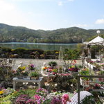 Lake Side Garden&Cafe - 