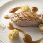 マクシミリアン