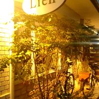 Lien - 