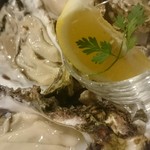 OYSTERBAR SHELL&SHRIMP - 