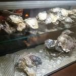 OYSTERBAR SHELL&SHRIMP - 