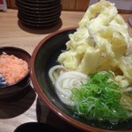 二◯加屋長介 - ◆ひやかけ（450円ですが麺を少なくしましたので400円）に「ごぼう天（150円）」をトッピングしました。 海老の天かすが付くのはいいですねぇ。