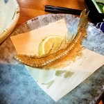 夜明茶屋 - お造りは骨せんべいに