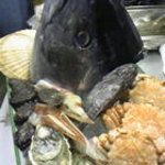 Umibouzu - 青森の魚介類