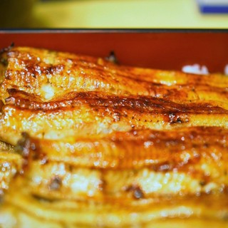 目黒 白金 五反田で人気のうなぎ ランキングtop7 食べログ 目黒 白金 五反田で人気のうなぎ ランキングtop7 食べログ