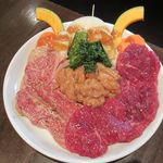 Shichirin Yakiniku Sumiya - 焼肉オードブル(2人前)(2017/03/12撮影)